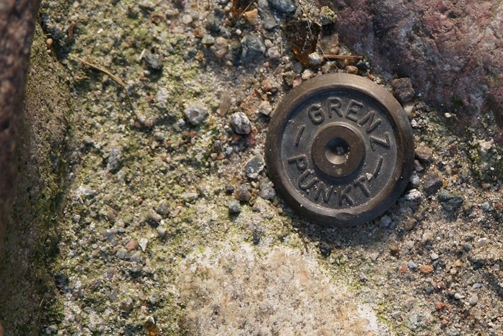 Grenzmarke, die im Rahmen einer Grenzfeststellung und Abmarkung bei der Vermessung eines Grundstücks eingebracht wurde